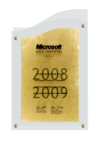 Złoty Partner Microsoftu