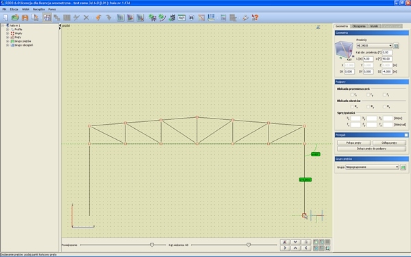 Konstrukcje stalowe: projekt hali w programie Rama 3D